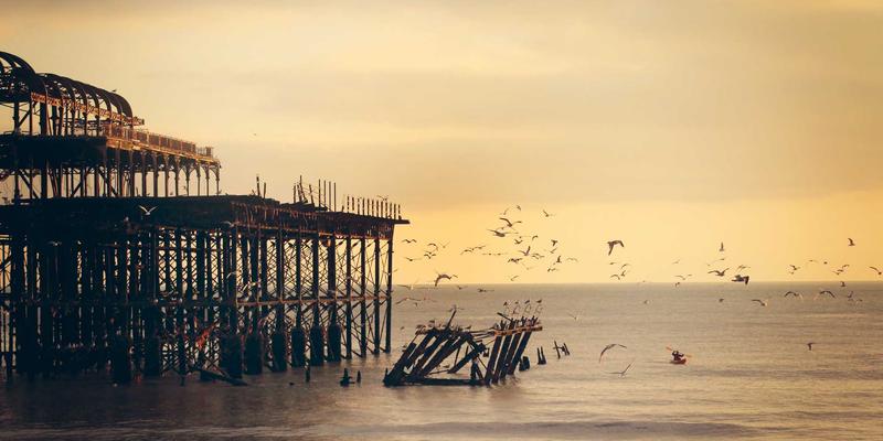 城市生态廊道如何影响鸟类栖息？山西中环区域生物多样性调查与环境评估实践