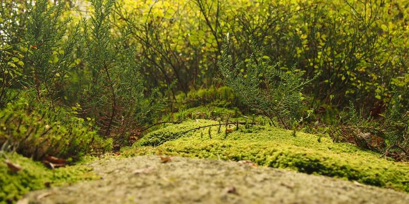 山西中环47：污染治理的先锋实践与环保工程新标杆