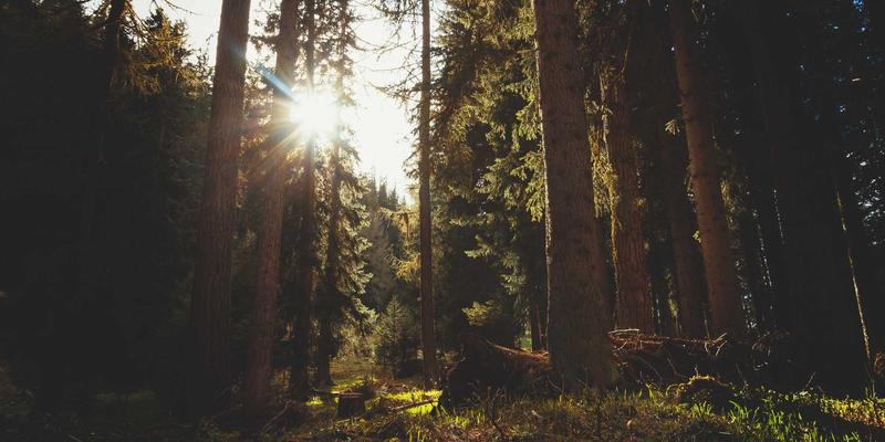 山西中环72：环境监测、污染治理与环保工程的协同实践