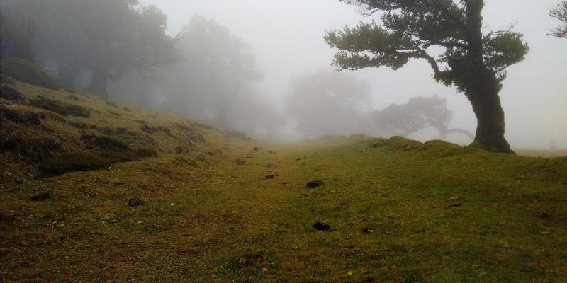 山西中环96：环保工程的典范与环境评估的实践