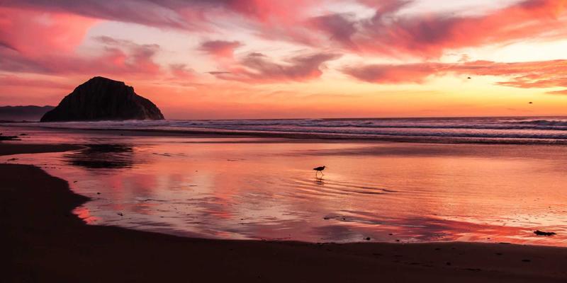 山西中环交通噪声治理新思路：专业环境监测与立体绿化降噪方案解析