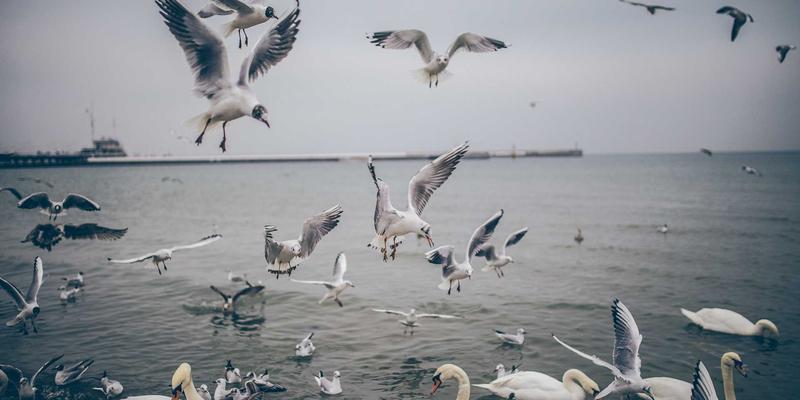 山西中环优势：以专业环保服务，守护三晋绿水青山