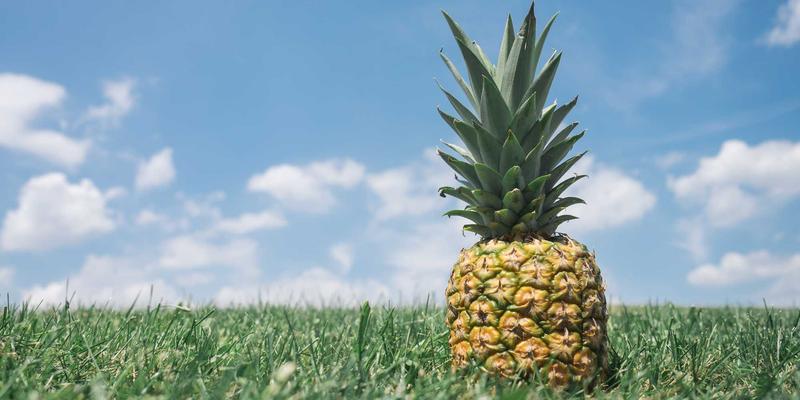 山西中环公共自行车与电动车接驳系统：以绿色出行破解最后一公里难题的环境监测与污染治理新实践