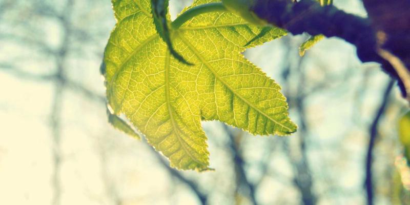 山西中环夜景照明节能改造工程分析：LED与智能控制系统的环保服务实践