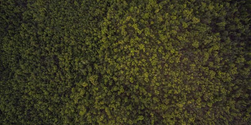 山西中环对比：污染治理与环境监测的先锋力量