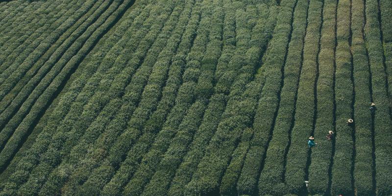 山西中环快速路噪声屏障技术升级：新型环保材料与生态隔音墙设计的创新实践