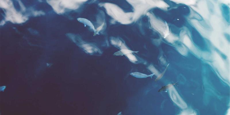 山西中环快速路智能交通系统解析：大数据如何成为污染治理与环保服务的利器