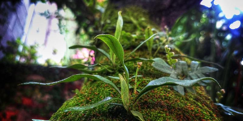 山西中环快速路最新通车路段及规划详解：环境评估、环保工程与环境监测如何护航城市发展