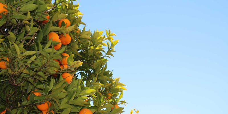 山西中环沿线工业遗产活化利用：从废弃厂房到文创园区的转型路径与环保服务新机遇