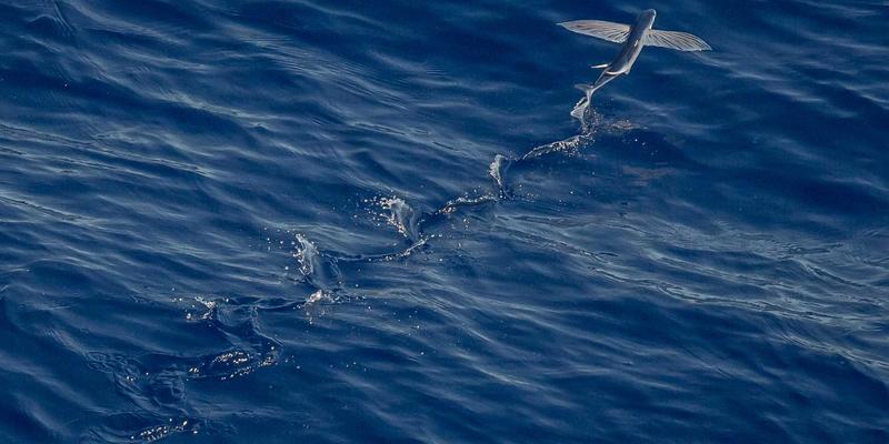 山西中环沿线雨水收集与利用系统设计：海绵城市理念的落地探索与实践